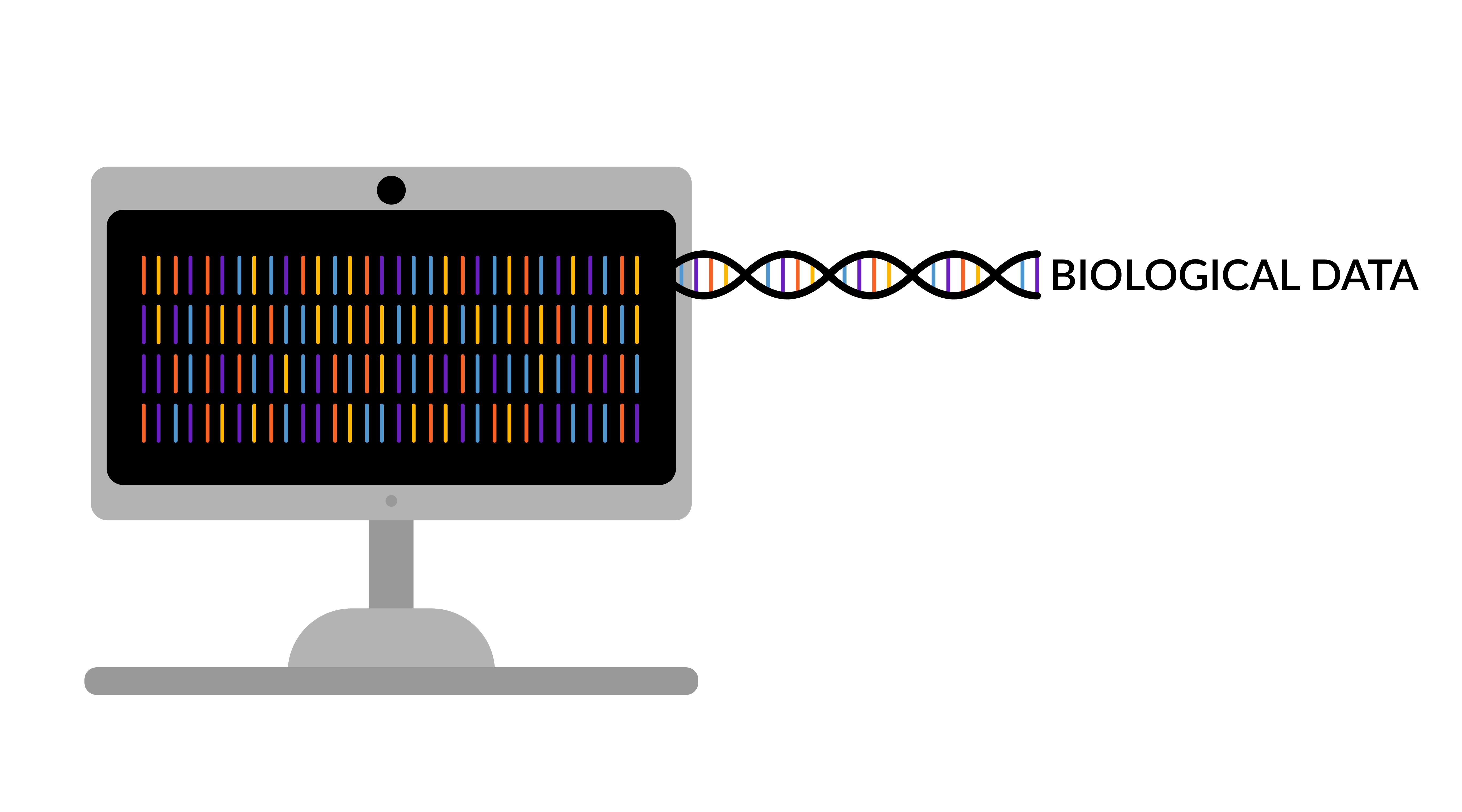 Bioinformatics